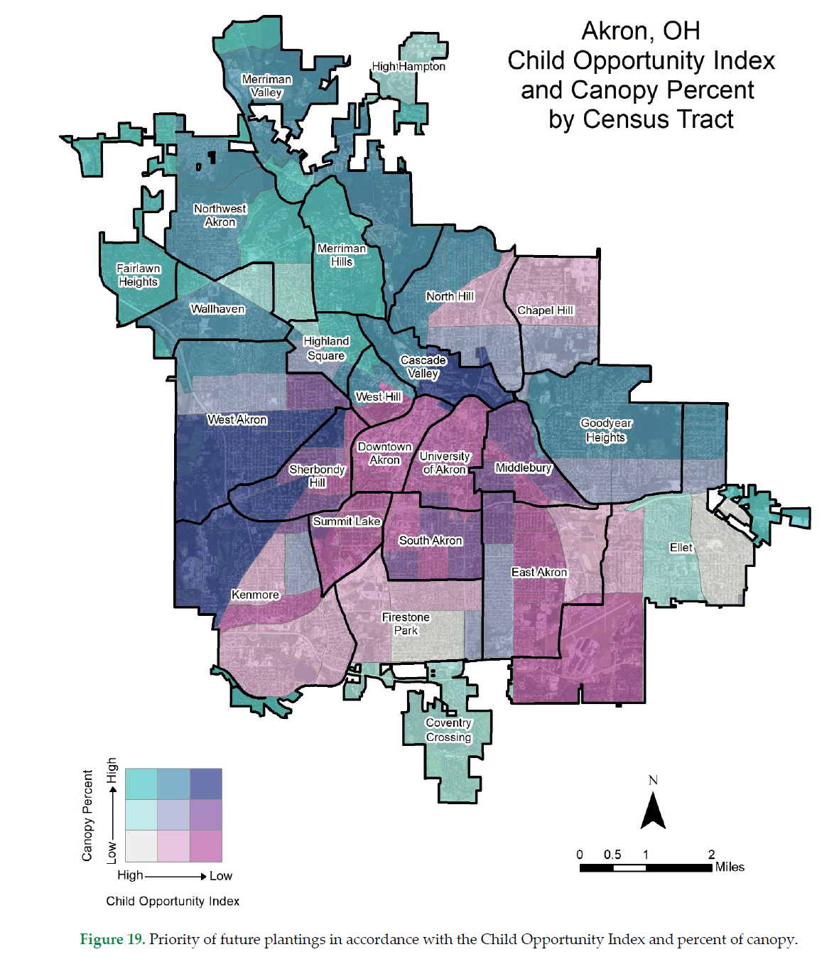 Map showing distribution of tree canopy by COI in Akron, OH